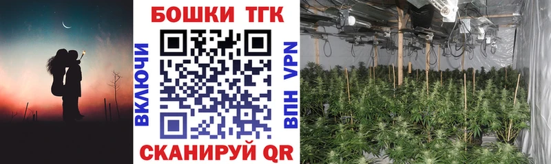 Сколько стоит Протвино Лсд 25  АМФ 