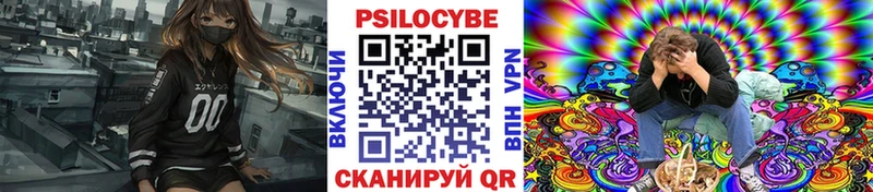 что такое наркотик  Протвино  Псилоцибиновые грибы Psilocybe 