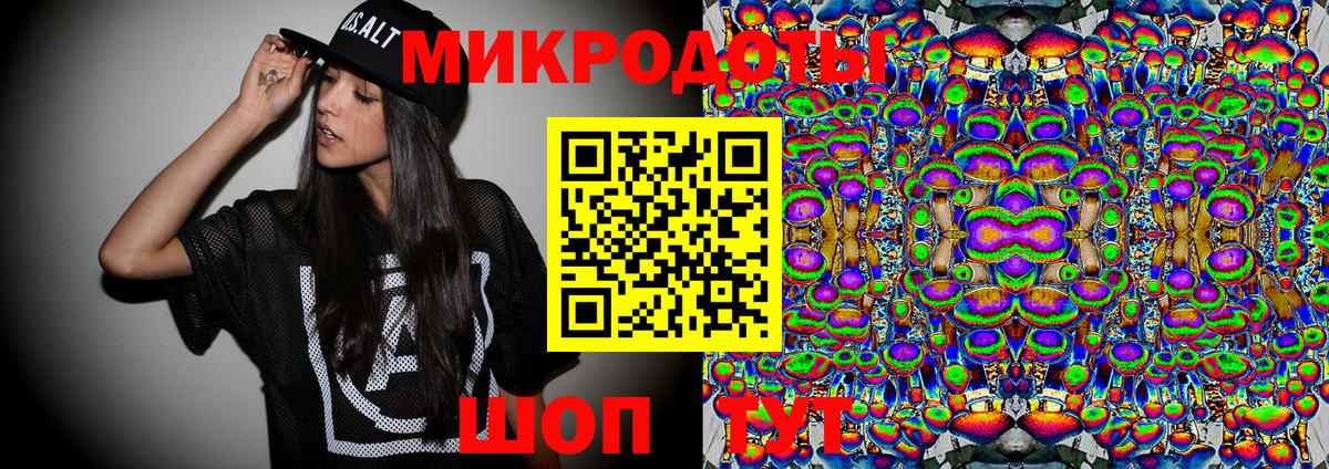 Галлюциногенные грибы Psilocybine cubensis Протвино